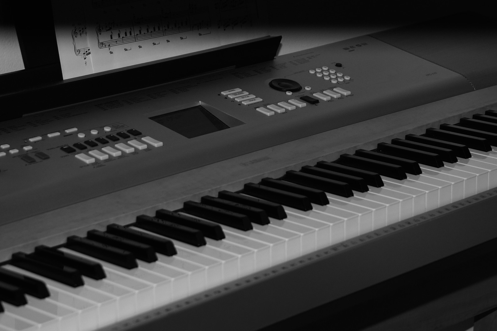A piano keyboard in black and white.