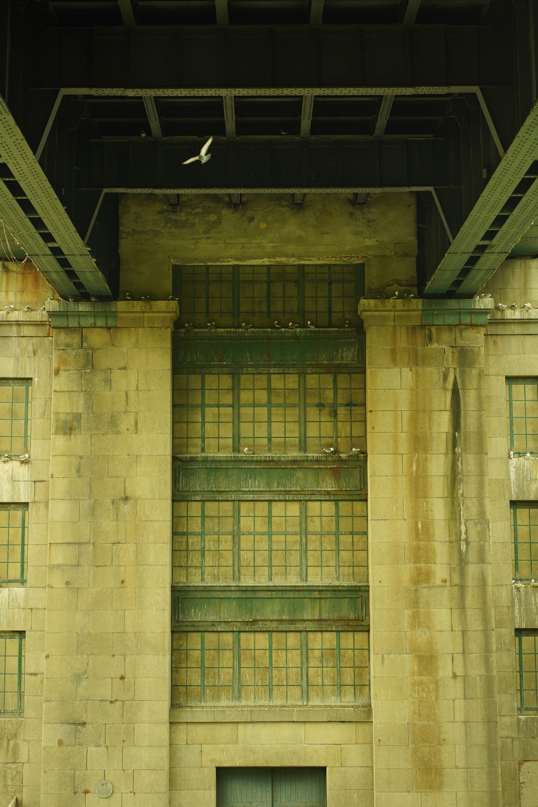 A bird flying beneath steel beams and stone columns.
