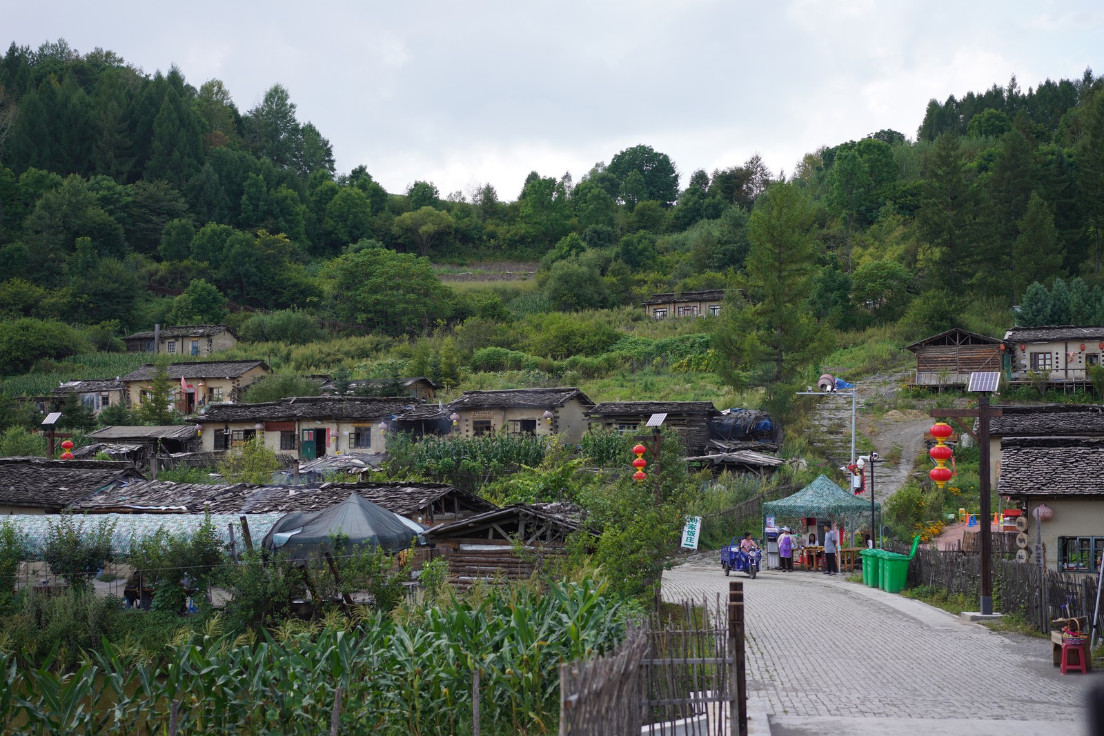 Buildings and a winding road among lush green hills.