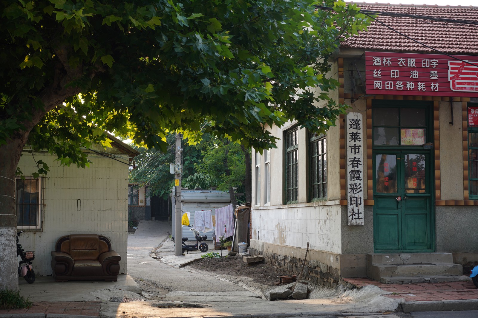 A quiet street lined with trees and buildings.